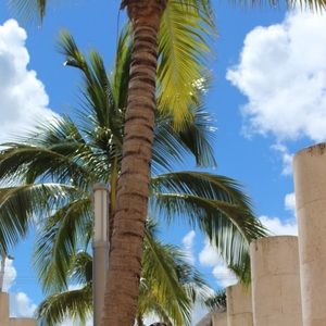 Meet your Posher, Lucy